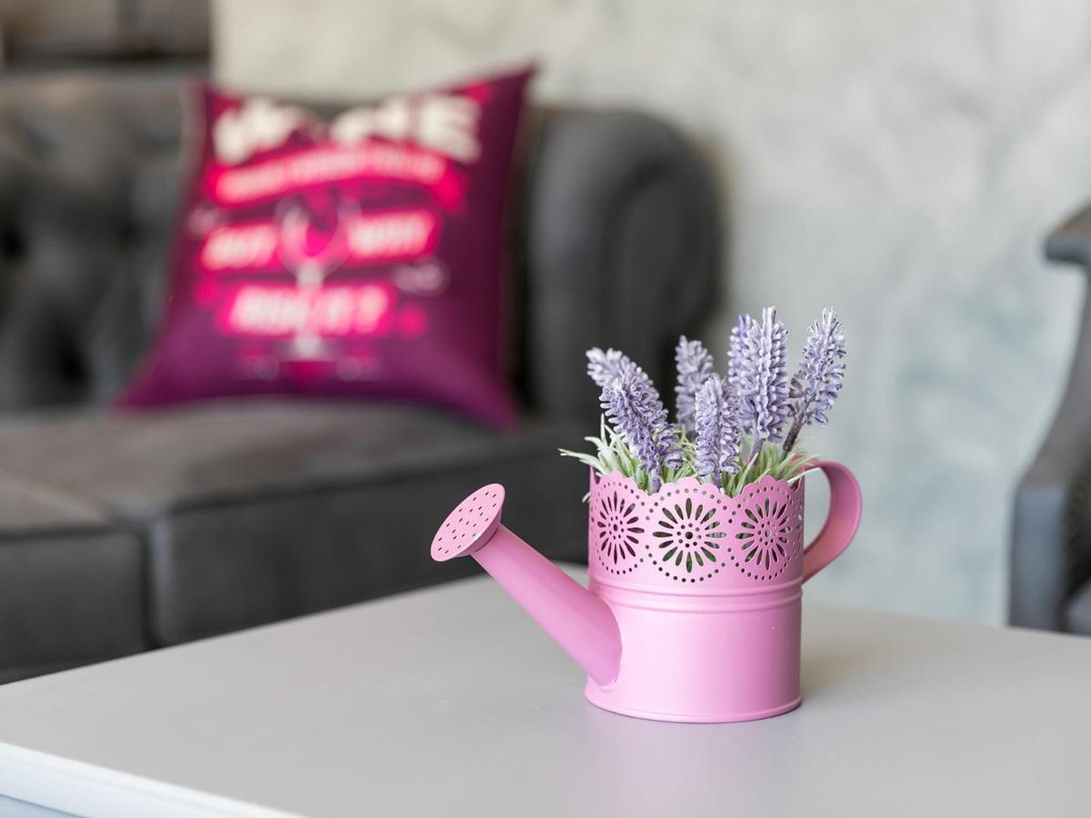 Villa Lavanda Nova Vas  외부 사진
